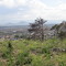 valley view