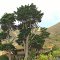 PCH at TBTL St • North Malibu