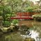 pond at the Japanese Gardens(Micke Grove Park)