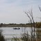 Maple Leaf Conservation Area
