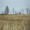Prairie view, Maple Leaf Lake, Missouri Conservation District