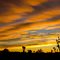 Sun Rise in the High Desert