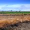 Wild Fires July 9th 2012, near Maxwell, California