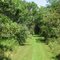 Byron Shutz Nature Trail - .6 miles