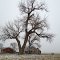 Winters Grip