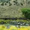 Union Pacific & Santa Fe Railroad from US 50 Colorado