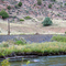 US50, Mountain sheep on railway line