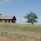 Old House on Pawnee Grassland