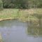 Water flowing away from the lake.