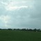 Line of trees near 225th