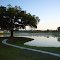 Cypress Lakes Lakeland Florida - Tree on B.C. North Course