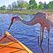 Sandhill at Lake Ashby