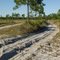 Wiregrass Prairie Preserve / Boy Scout Camp Road-Pells Road