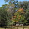 Keystone Heights