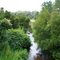 KEYSTONE HEIGHTS FL,  ALLIGATOR CREEK LOOKING SOUTH - LAKE BROOKLYN INFLOW   06-26-09