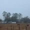 Farm