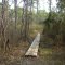 Bear Lake Trail