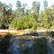 Big Juniper Creek