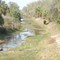 Real Florida