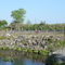 Park at Ortona