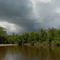 Yellow River, NW Florida