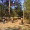 Blackwater River Canoe Launch