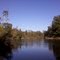 Yellow River from the mouth of Guest Lake