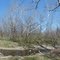 Martha Lafite Thompson Nature Sanctuary