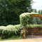 Dog Park Entry