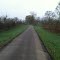 New Segment of Trail