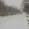 Snowy Weather