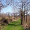 St Jones Reserve