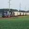NS 13G (Odd locomotive)
