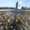 Roadside Memorial for Amanda Golt