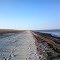 Undeveloped beach near Ted Harvey Wildlife Area