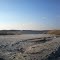 Undeveloped beach near Ted Harvey Wildlife Area