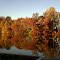 Reflecting on Fall