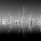 Infrared Panoramic.