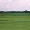Field