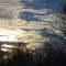 Winter Sunset