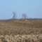 Schmidt Cemetary, Black Jack Road, Madison County IL