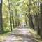 MCT Nature trail