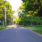 Historic St. Louis Street