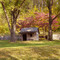 Log Cabin