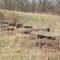 fence made of stacked old railroad ties, north of Yates Center, KS