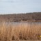 Fegan Lake