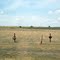 2011, Cimarron, KS - along Rte 50