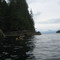 Shore of Clover Island