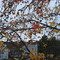 Fall's memory