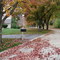 Fall's memory
